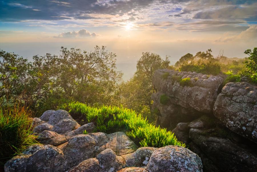 Phu Hin Rong Kla Gallery 1