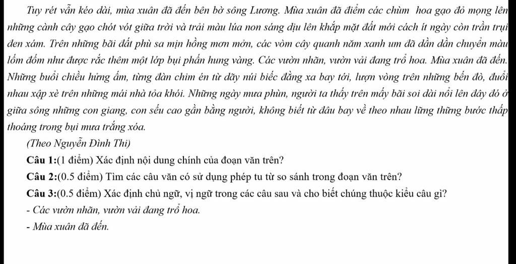 Tuy rét vẫn kéo dài, mùa xuân đã đến bên bờ sông Lương Gallery 2
