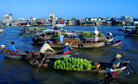 Người Phương Nam Gallery 2