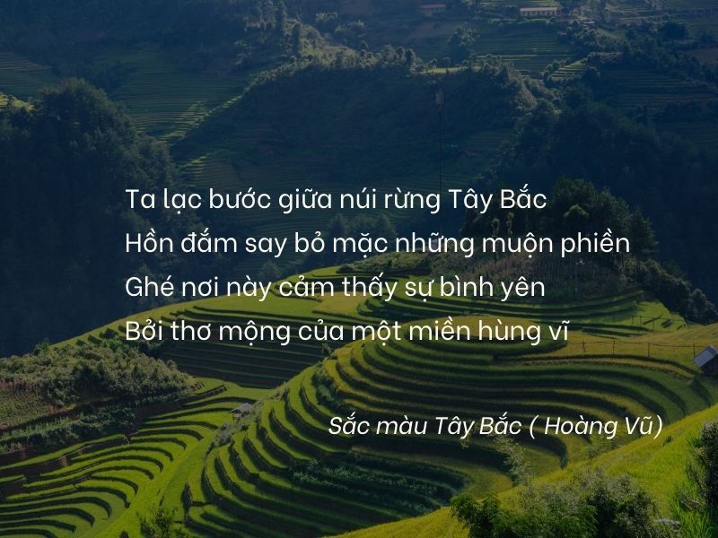 Thơ Hay Về Núi Rừng - Vẻ Đẹp Hùng Vĩ Của Thiên Nhiên Gallery 1