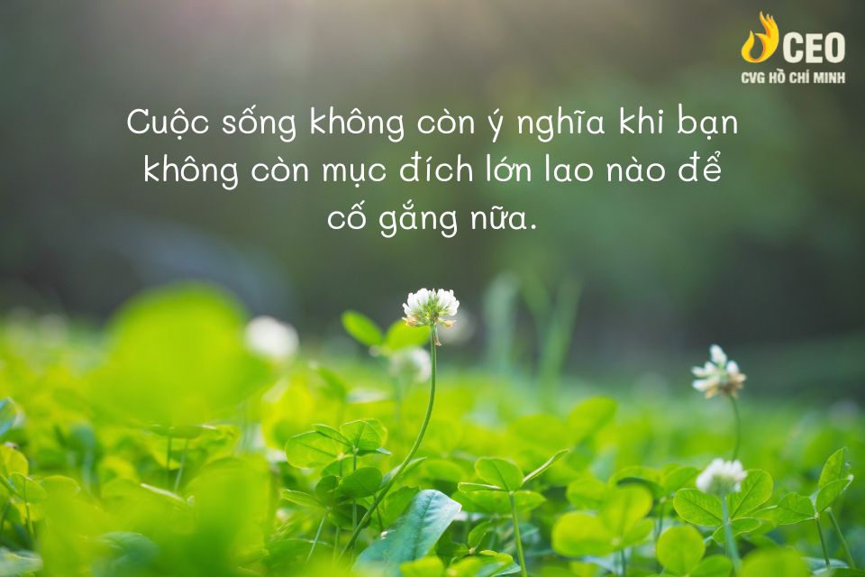 Muôn Màu Muôn Vẻ Gallery 1