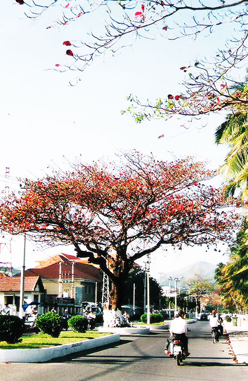 Ôi Nha Trang mùa thu lại về Gallery 1