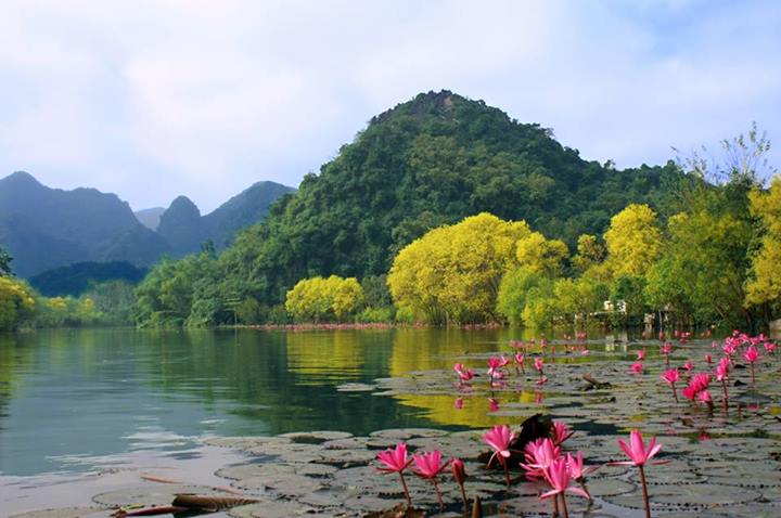 Suối Yến Chùa Hương - Vẻ Đẹp Huyền Ảo Giữa Non Nước Hương Sơn Gallery 1