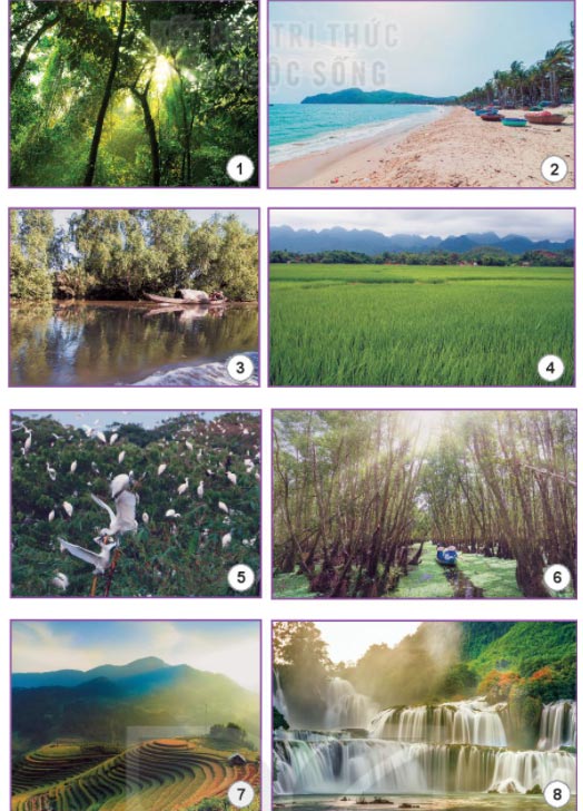 Trải Nghiệm Tuyệt Vời Tại Đà Lạt - Thành Phố Mộng Mơ Gallery 1