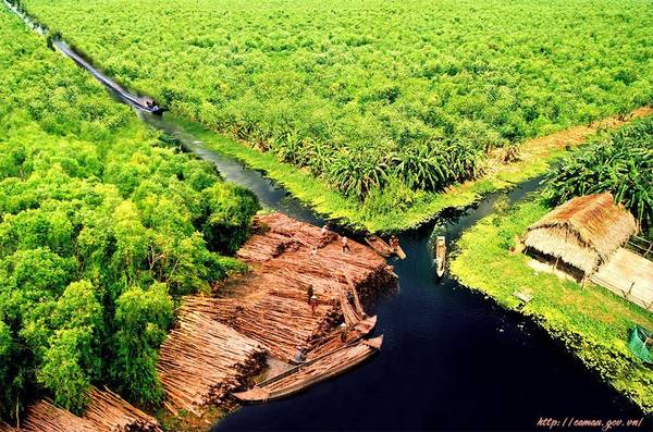 Cà Mau Quê Xứ Gallery 1