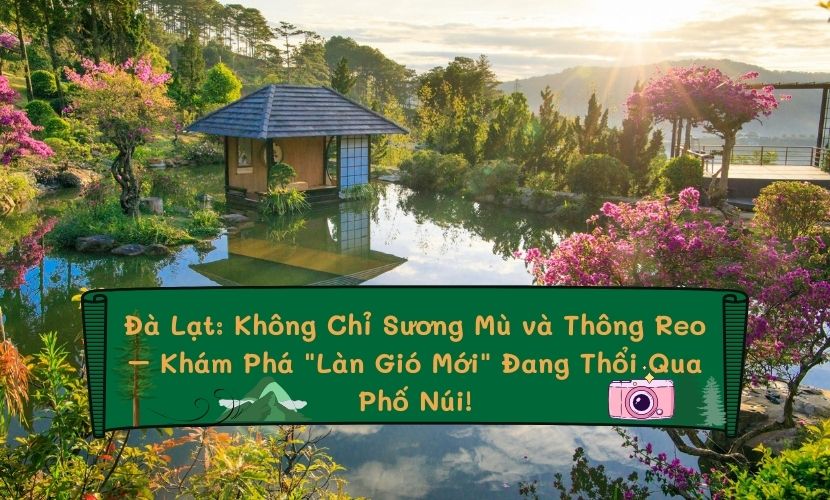 Thôi Nhớ Đà Lạt Ơi! Gallery 1