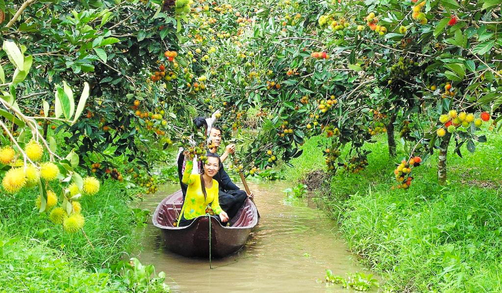 Vườn Trái Cây Ba Chín Gallery 1