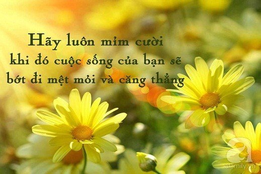 Sống Đẹp: Hướng đến một Cuộc đời trọn vẹn Gallery 1