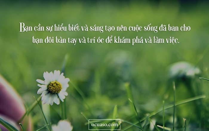 Những Câu Nói Về Khát Vọng Sống Gallery 1