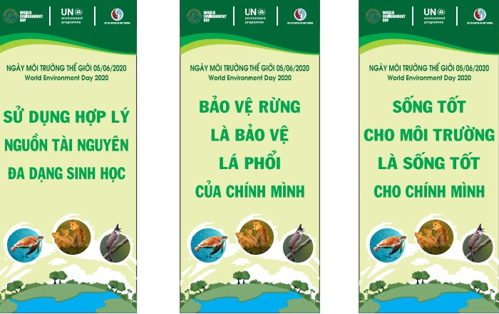 Khẩu hiệu hay về bảo vệ rừng