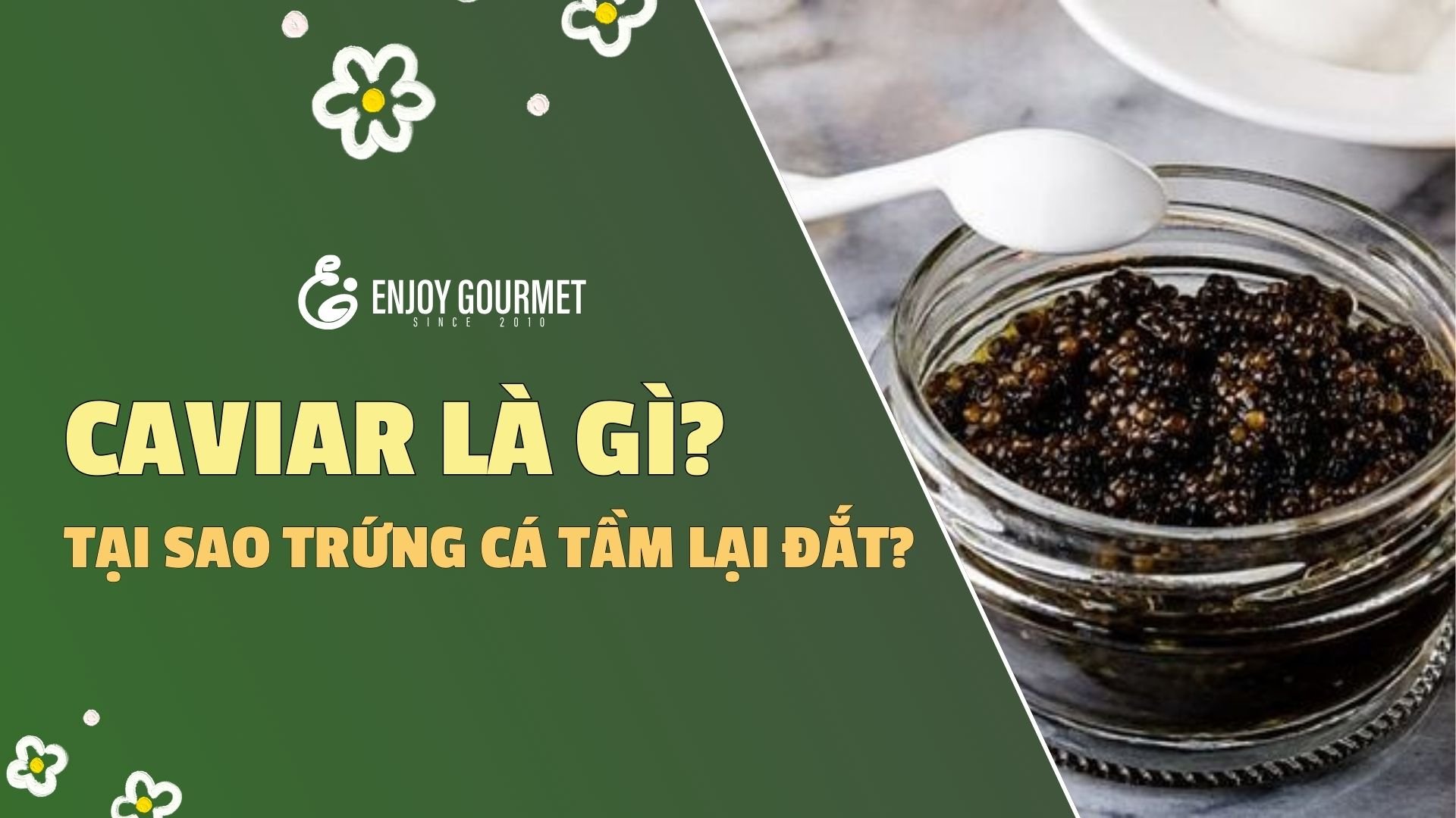 Khép nép là gì? Gallery 2