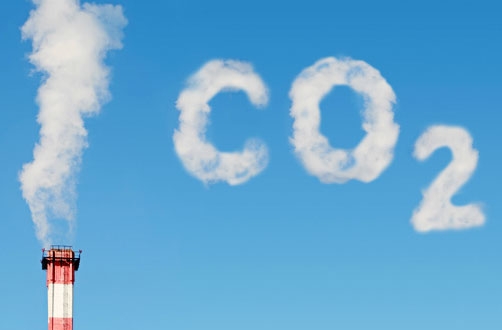 Khí CO2 Sinh Ra Từ Đâu?