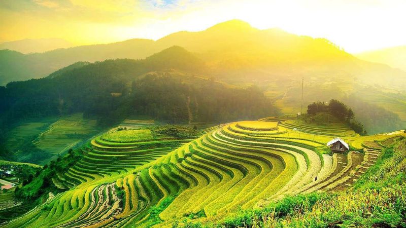 Việt Nam đất nắng chan hòa Gallery 1