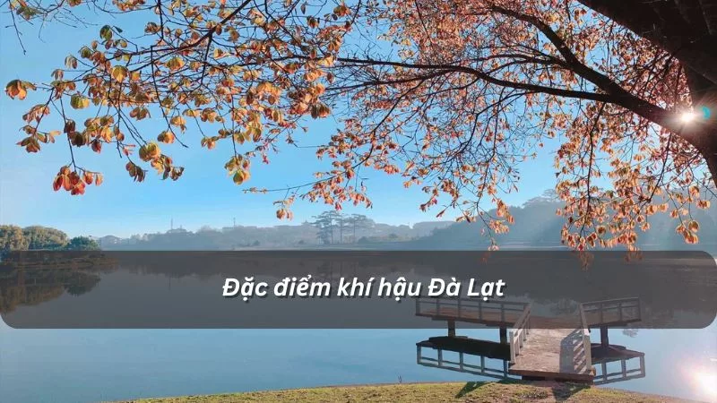 Cảm nhận về Đà Lạt: Thành phố ngàn hoa quyến rũ Gallery 1