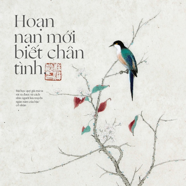 Khi Hoạn Nạn Mới Biết Chân Tình Gallery 2