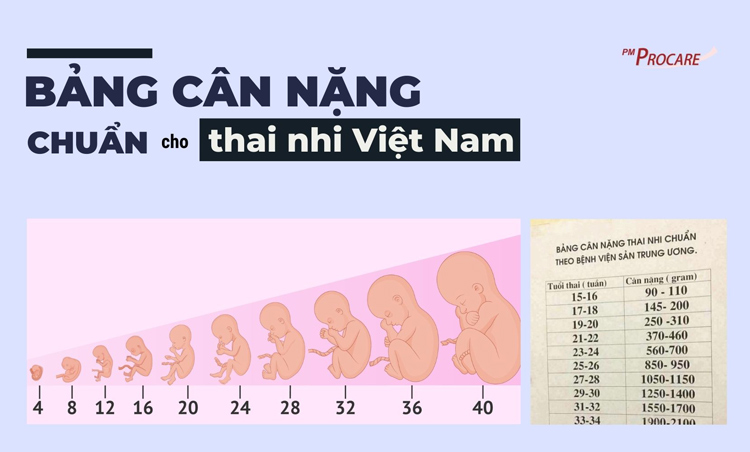 Bầu 25 Tuần Em Bé Nặng Bao Nhiêu? Gallery 2