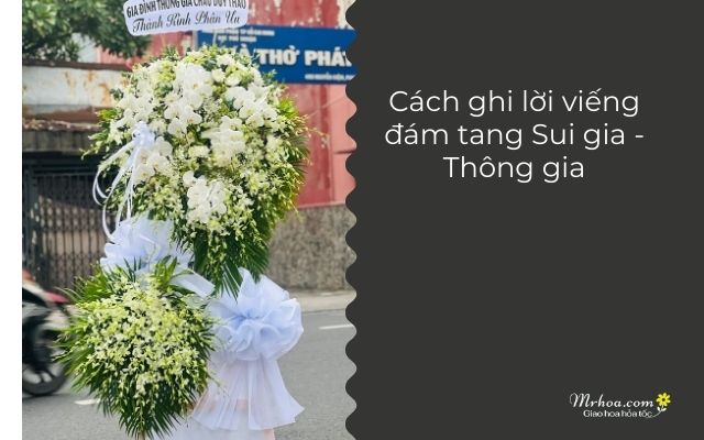Sui gia hay thông gia? Gallery 2