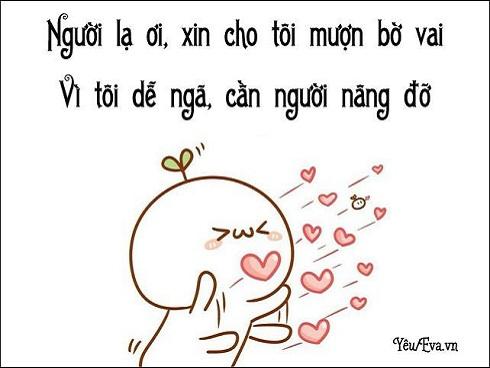 Người lạ ơi xin cho tôi mượn bờ vai Gallery 2