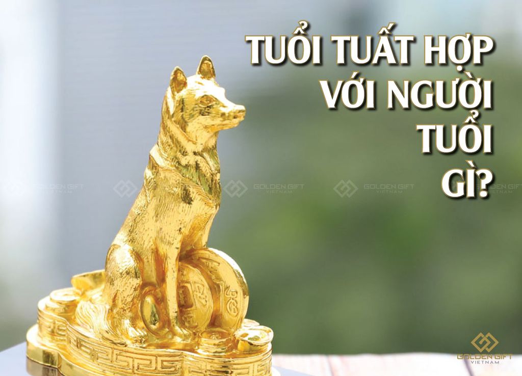 Khỉ và Chó Có Hợp Nhau Không?