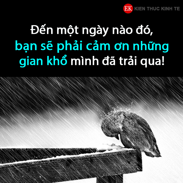Khổ Thể Giúp Người Trưởng Thành