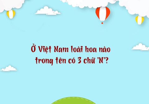 Từ nào trong tiếng Việt có 12 chữ M? Gallery 1