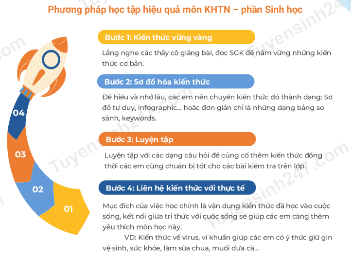 Kiến Thức Tổng Hợp: Từ A đến Z Gallery 1