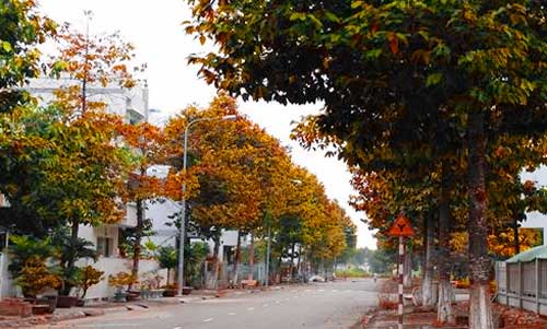 Khoảnh khắc giao mùa tuyệt đẹp Gallery 2