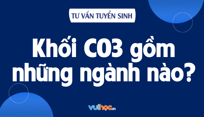 Khối CO3 gồm những môn nào?