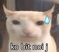 Meme "Không Biết Nói Gì": Nguồn Gốc, Ý Nghĩa Và Cách Sử Dụng
