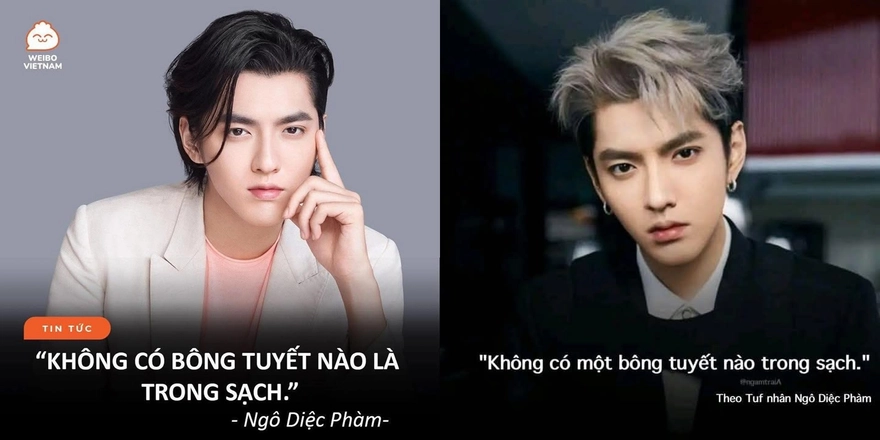 Không có bông tuyết nào là trong sạch cả Gallery 2
