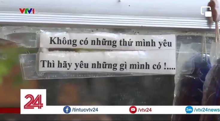 Không có những thứ mình yêu Gallery 2