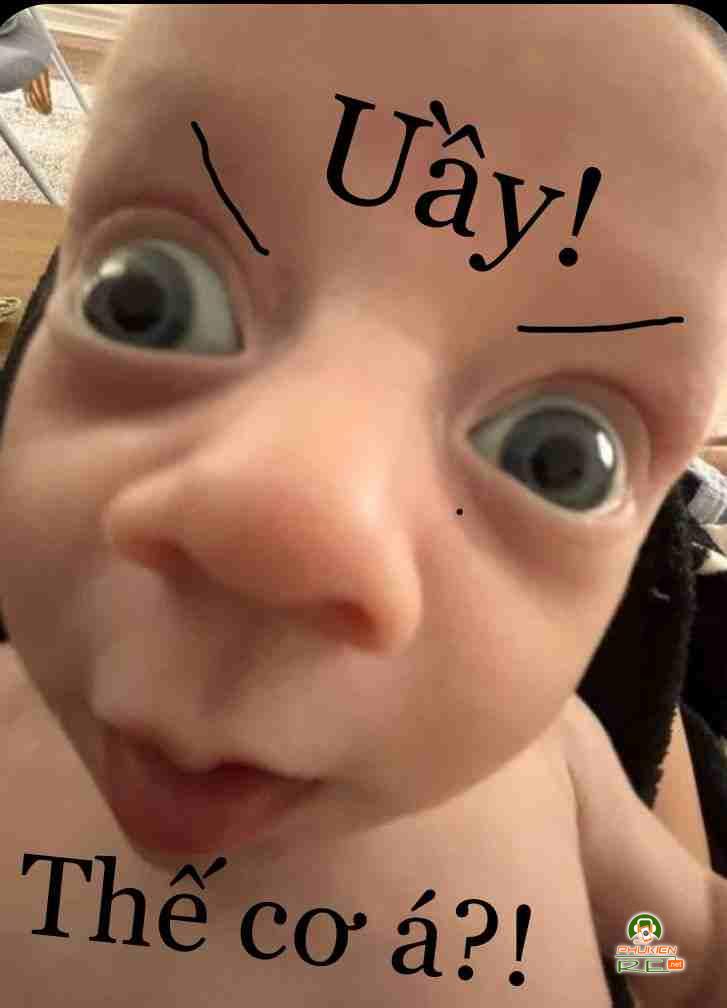 Không em meme là gì? Nguồn gốc và ý nghĩa Gallery 2