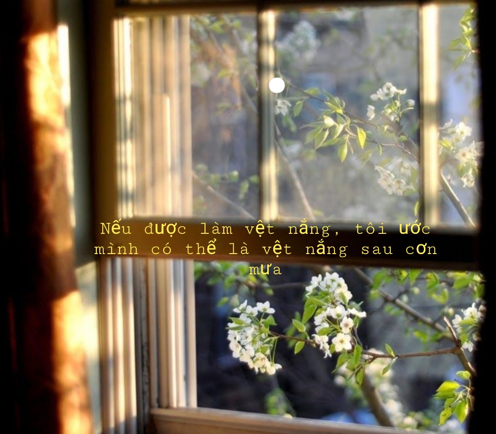 Tả Sau Cơn Mưa Gallery 1