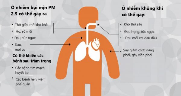 Tác hại của ô nhiễm không khí và cách bảo vệ không khí trong lành