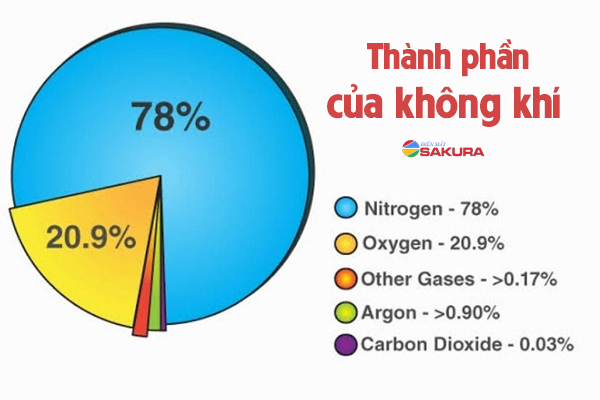 Thành phần chính của không khí là gì?