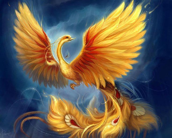 Khổng Tước và Phượng Hoàng Khác Nhau Như Thế Nào? Gallery 2