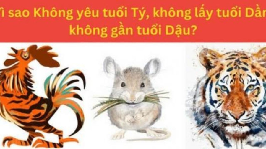 Không Yêu Tuổi Tí: Lời Giải Thích và Quan Điểm