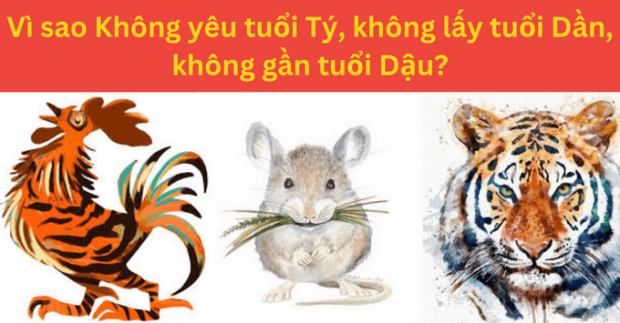 Không Yêu Tuổi Tí: Lời Giải Thích và Quan Điểm Gallery 2