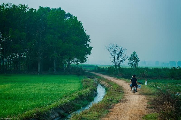 Tả con đường quê em Gallery 1