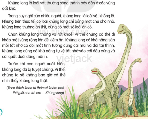 Khủng Long Lớp 2