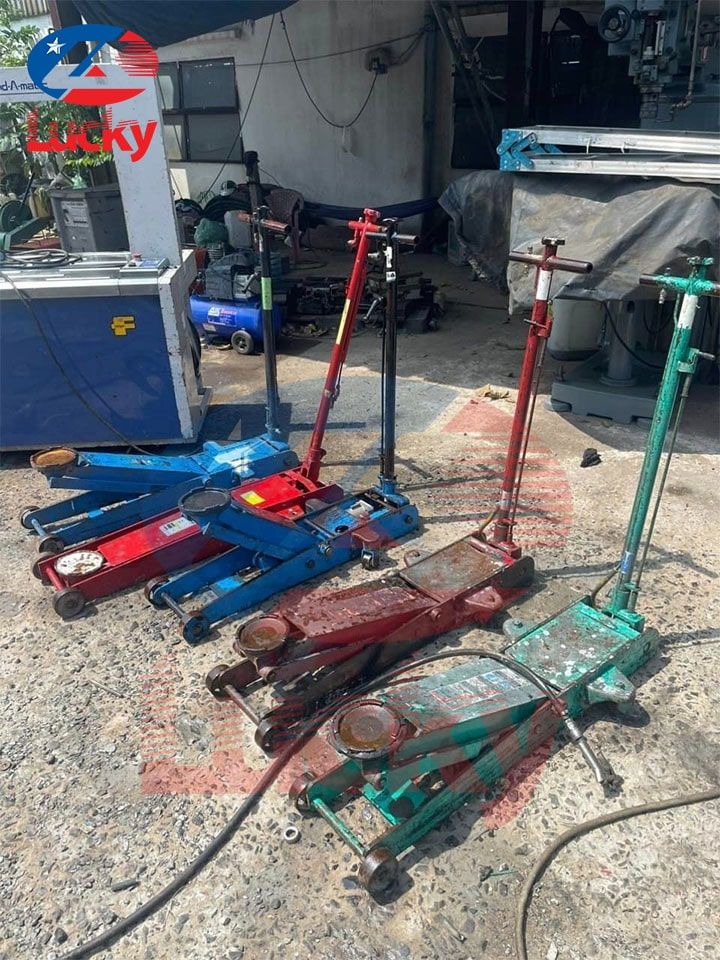 Kích Cá Sấu Bãi