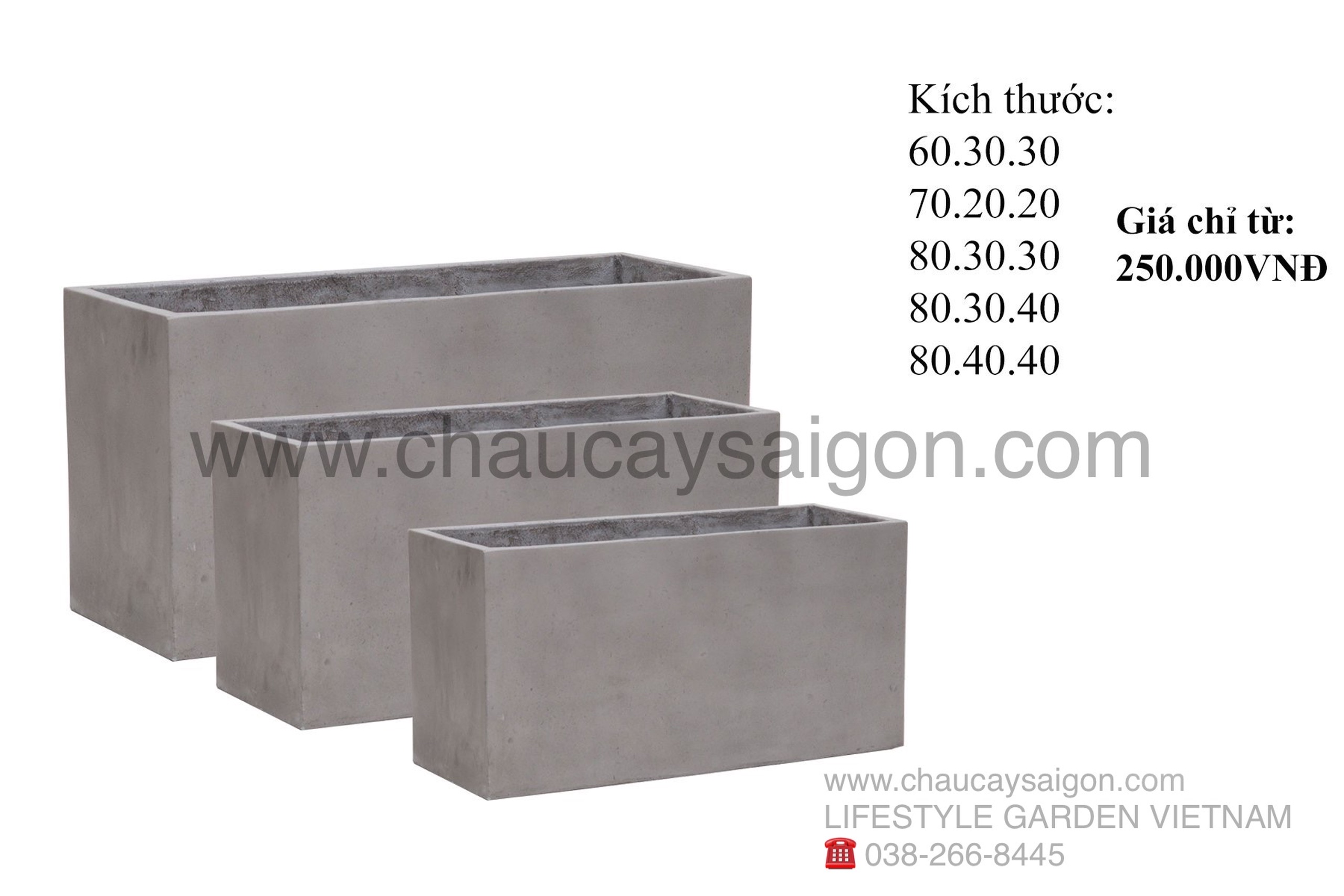 Kích Thước Chậu Cây: Hướng Dẫn Chọn Chậu Phù Hợp