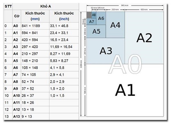 Sizes in English