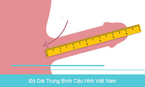13cm là to hay nhỏ? Gallery 1