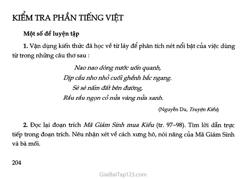 Đáp án Kiểm tra phần Tiếng Việt lớp 9 trang 204