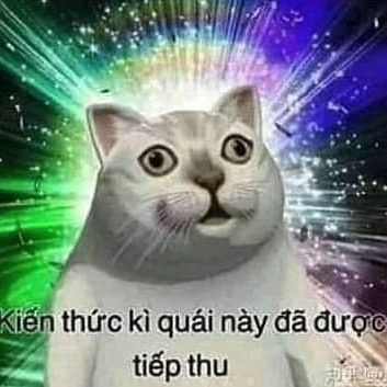 Kiến Thức Kì Quái Đã Được Tiếp Thu