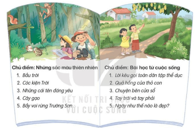 Đề thi giữa kì 2 lớp 3 môn Tiếng Việt sách Kết nối tri thức Gallery 1