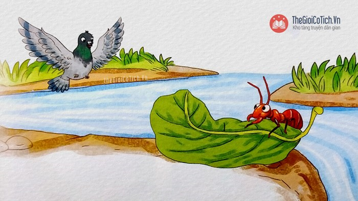 Kiến và Bồ Câu: Sự Khác Biệt Về Tập Tính và Môi Trường Sống