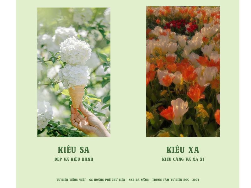 Kiêu sa là gì? Gallery 2