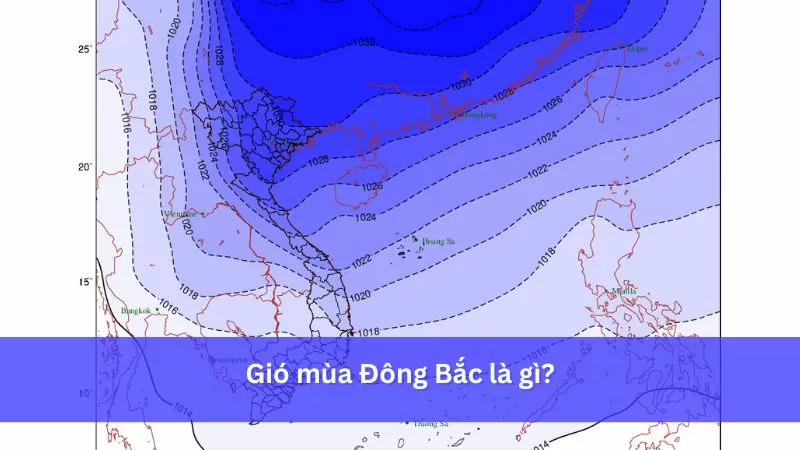 Kiểu thời tiết lạnh ẩm xuất hiện vào nửa sau mùa đông ở miền Bắc nước ta là do gì?